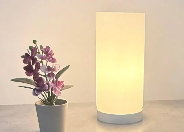 公寓 Elegant 2Br Apartment- La Vie Royale 尼科西亚